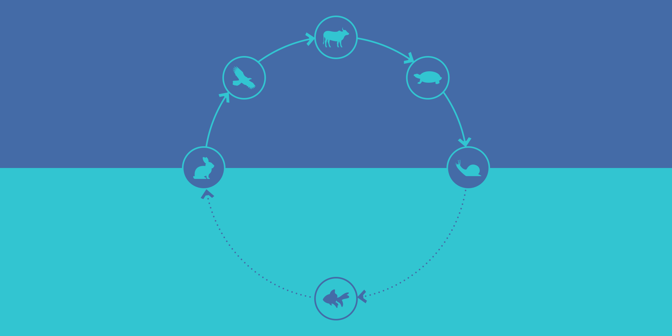 Productizing Digital Services – Designing repeatable digital experiences