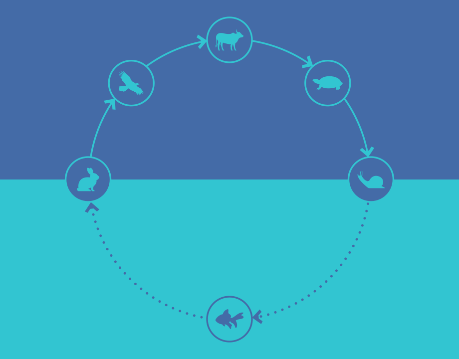 Productizing Digital Services – Designing repeatable and scalable experiences